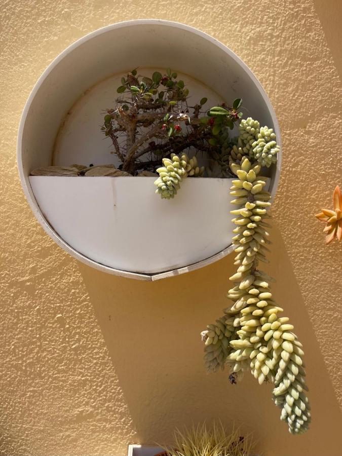 Eco House Golfinhos Appartement Corralejo Buitenkant foto